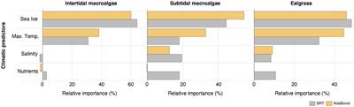 Major Expansion of Marine Forests in a Warmer Arctic